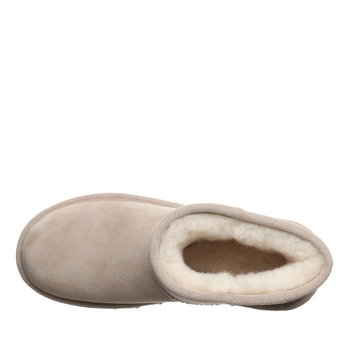 ALYSSA MUSHROOM